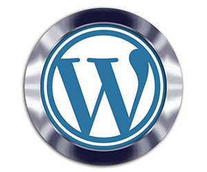 ワードプレスお困り解決コース